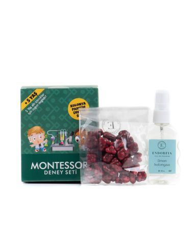 Montessori Parfüm Üretim Böğürtlen Draje - 50ML 80c Sprey Kolonyalı Set Lüks Taslama Kapaklı Hediye Kutusu