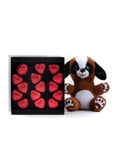 Sevimli Yavru Köpek ve Single Modern Fıstıklı Kalp Çikolata