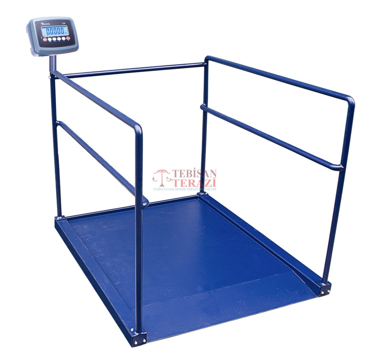 CW 300 KG X 100 GR 90 X 120 DİYALİZ BASKÜLÜ ( TEK RAMPA )