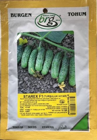 STAREX F1 (TURŞULUK HIYAR) TOHUMU 10 GR ORTALAMA 300 ADET TOHUM