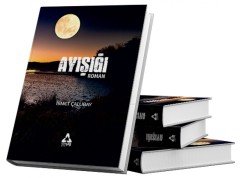 AYIŞIĞI