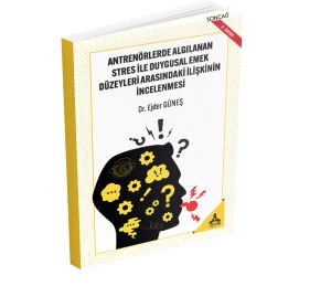 ANTRENÖRLERDE ALGILANAN STRES İLE DUYGUSAL EMEK DÜZEYLERİ ARASINDAKİ İLİŞKİNİN İNCELENMESİ