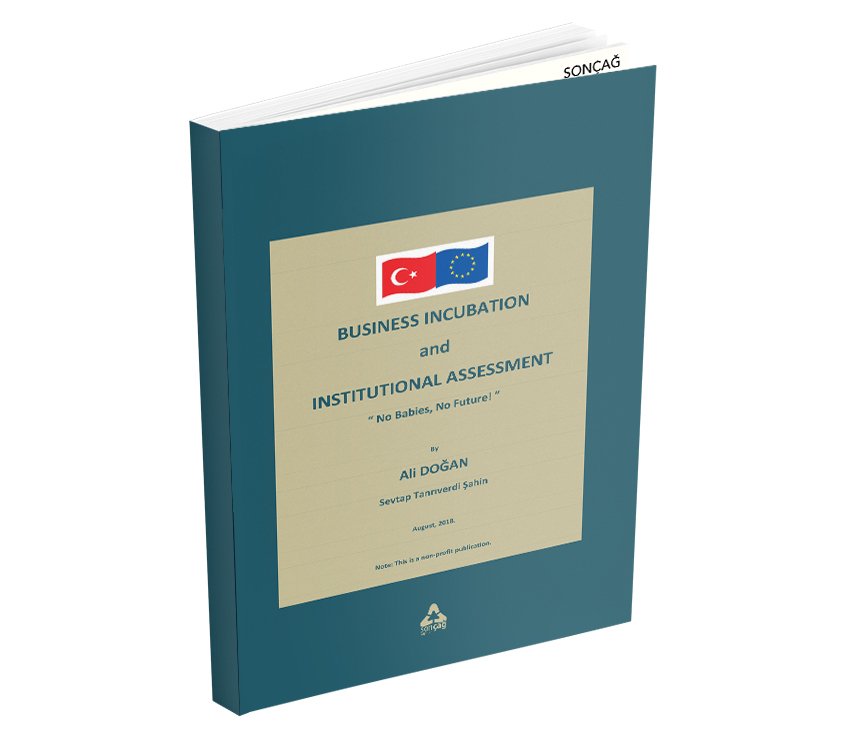 BUSINESS INCUBATION AND INSTITUTIONAL ASSESSMENT