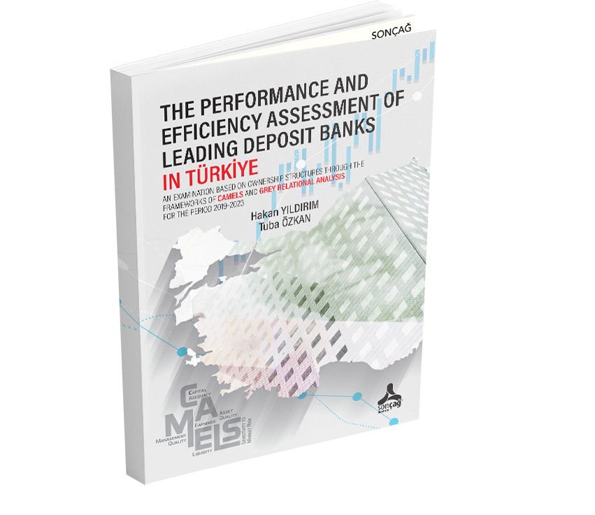 THE PERFORMANCE AND EFFICIENCY ASSESSMENT OF LEADING DEPOSIT BANKS IN TÜRKİYE