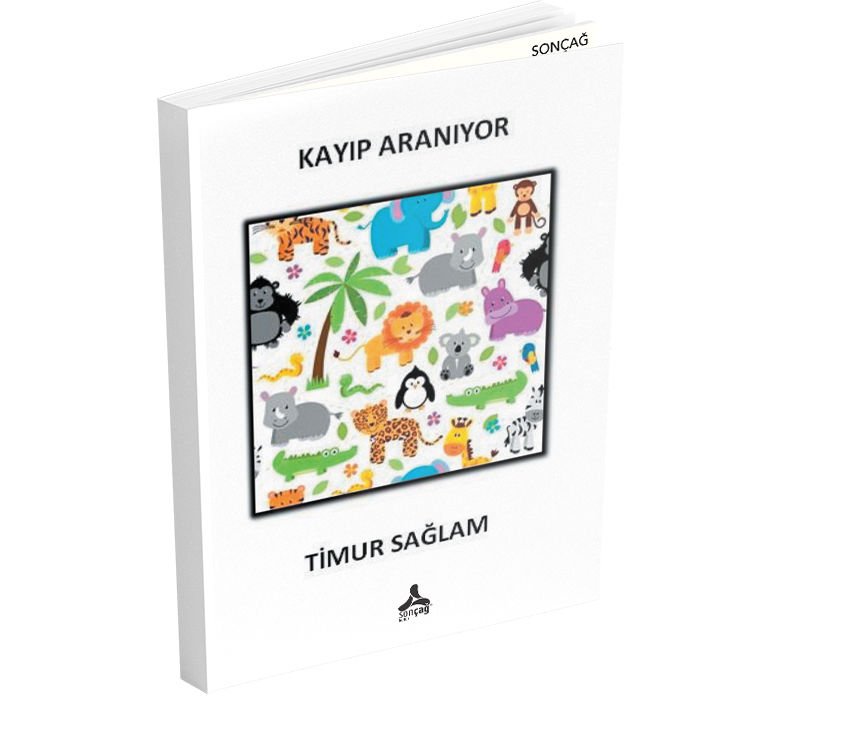 KAYIP ARANIYOR