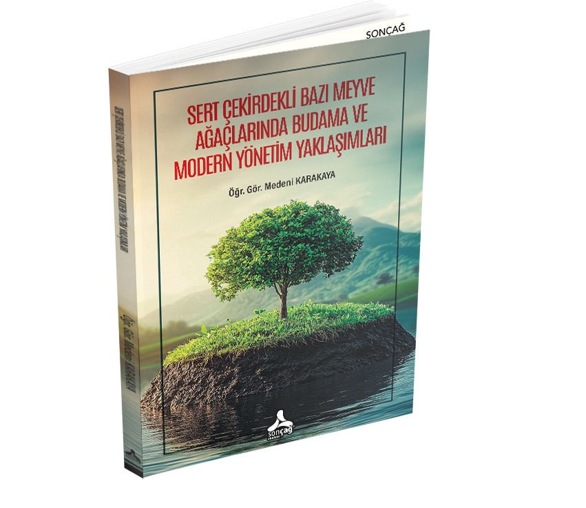 SERT ÇEKİRDEKLİ BAZI MEYVE AĞAÇLARINDA BUDAMA VE MODERN YÖNETİM YAKLAŞIMLARI