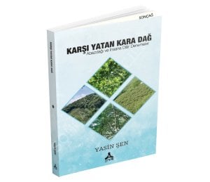 KARŞI YATAN KARA DAĞ Abazdağı ve İnsana Dâir Denemeler