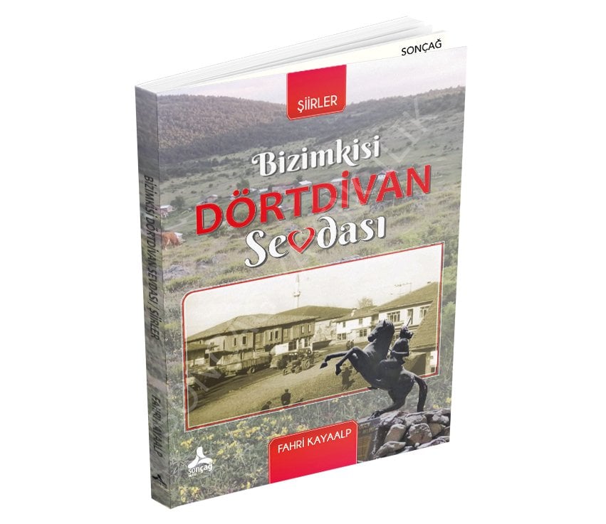 BİZİMKİSİ DÖRTDİVAN SEVDASI