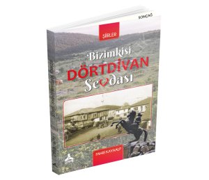BİZİMKİSİ DÖRTDİVAN SEVDASI