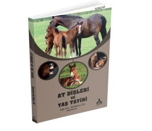 AT DİŞLERİ VE YAŞ TAYİNİ