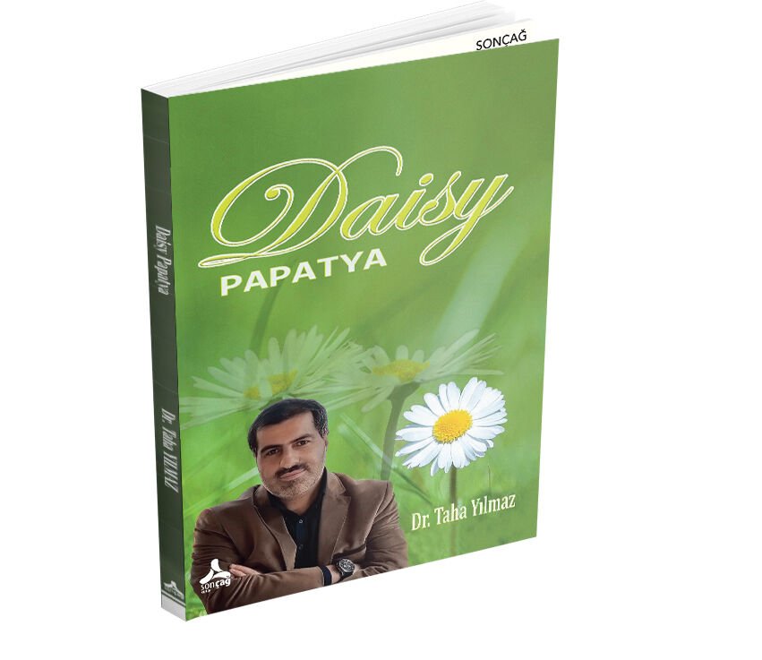 DAISY - PAPATYA