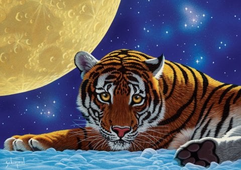 Art Puzzle Luna Tigre 500 Piezas Puzzle