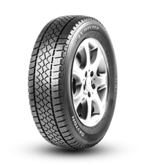 195/60R16C 99/97T Dayton Van Winter