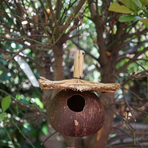 Coconut El Yapımı Kuş Yuvası