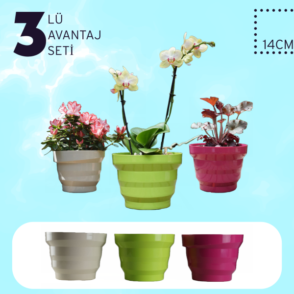 3lü Renkli Saksı Avantajlı Set 2