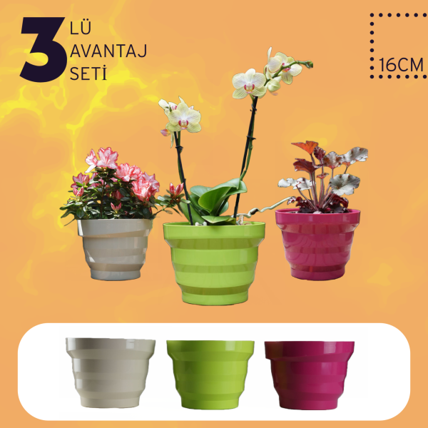 3lü Renkli Saksı Avantajlı Set 3