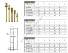 Hortum Girişli Rekor  (SR) M8 - 100