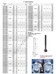 Nr.1590 -T- Ayaklı Saplama