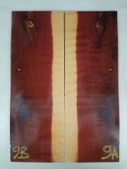 Elektro Gitar Kapağı Ardıç 2009