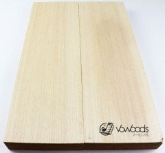 Elektro Gitar Gövdesi Ayous