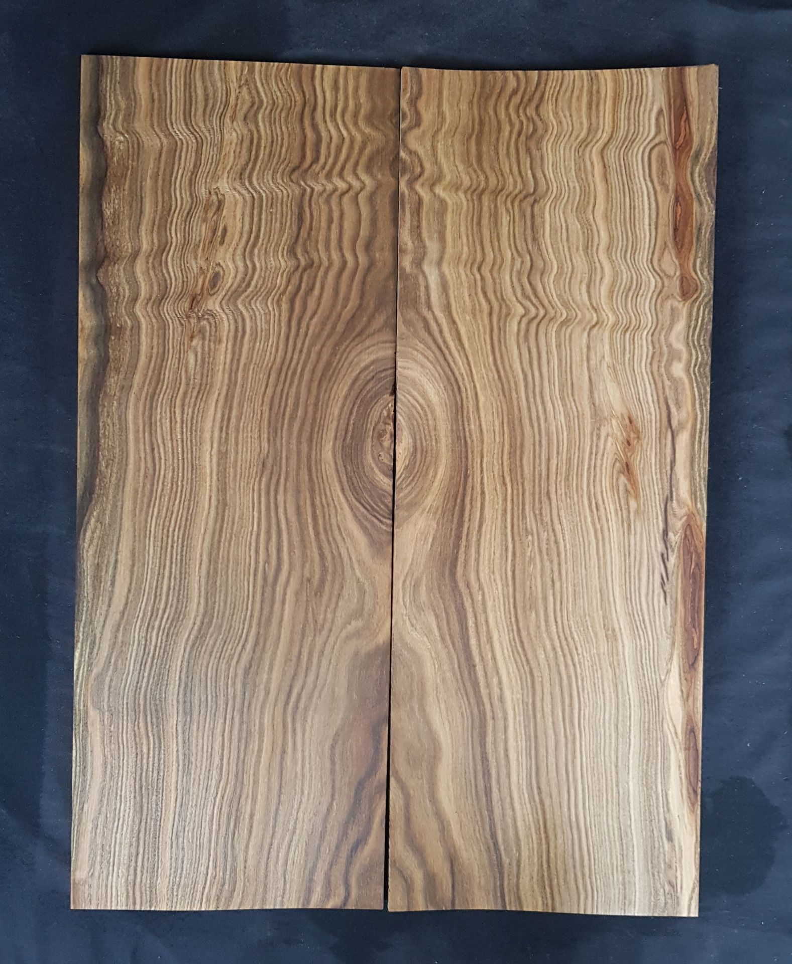 Elektro Gitar Kapağı Sakız Ağacı 104