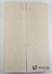 Elektro Gitar Gövdesi Ihlamur(Basswood)