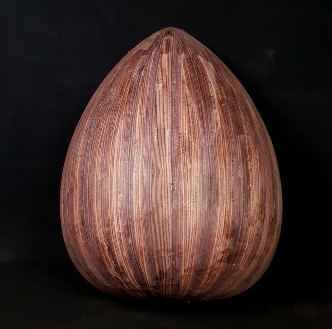 Ud Teknesi Kingwood(Camatillo)