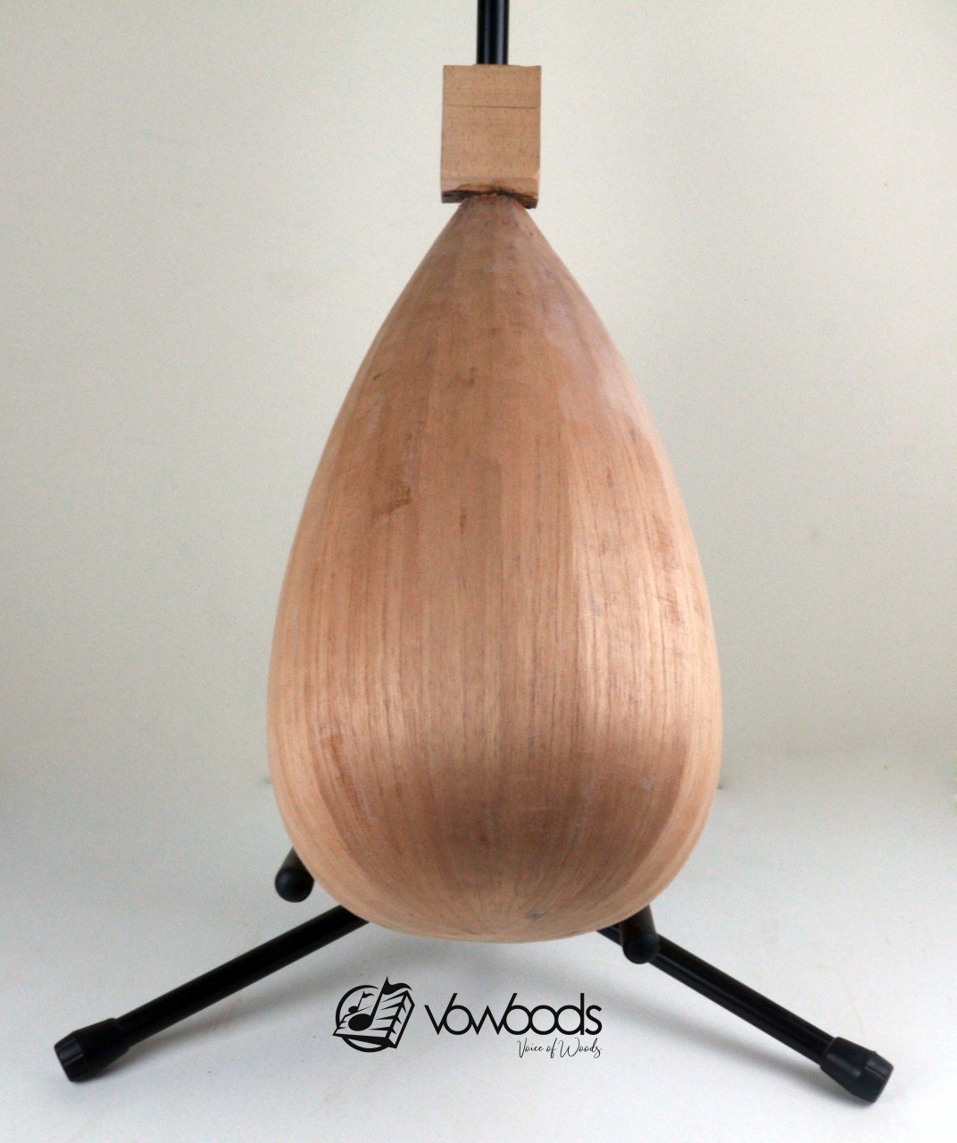 Bağlama Yaprak Tekne İspanyol Sediri(Kurtağzı)