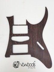 Pickguard İbanez RG 170