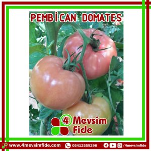 Pembican F1 pembe Domates Fidesi