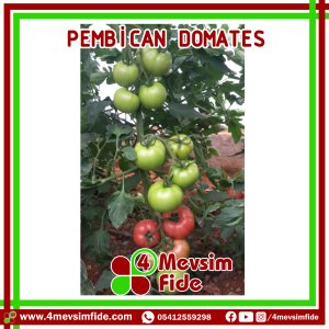 Pembican F1 pembe Domates Fidesi
