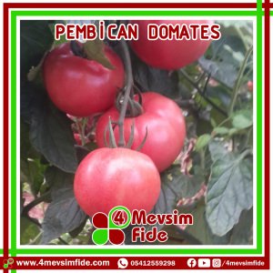 Pembican F1 pembe Domates Fidesi