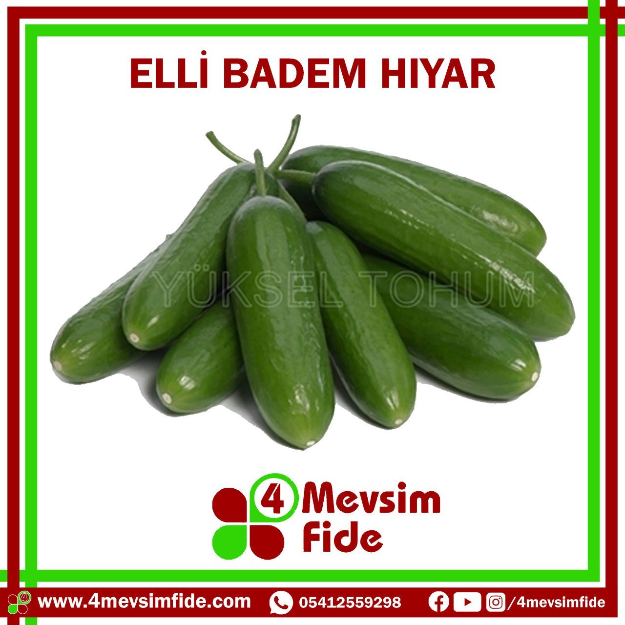 Elli F1 Badem Hıyar Fidesi