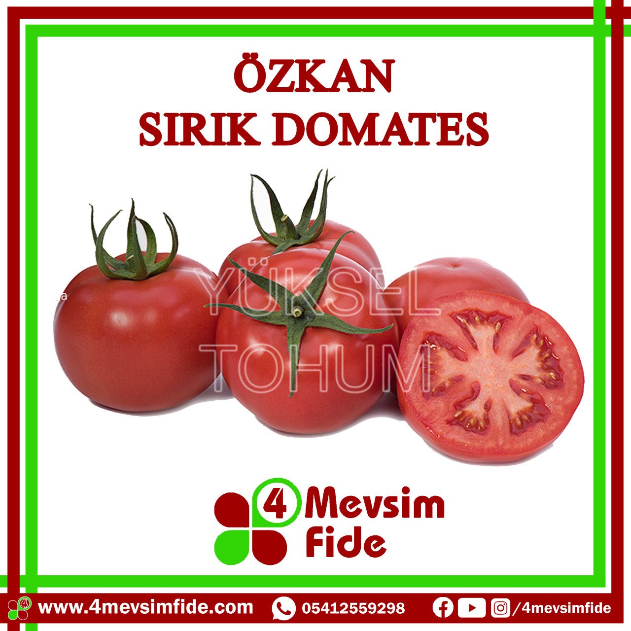Özkan Sırık Domates Tohumu 1000 Adet