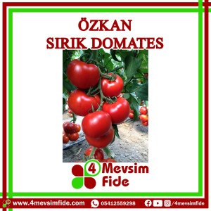 Özkan Sırık Domates Tohumu 1000 Adet