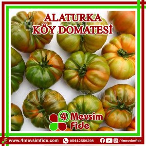 Alaturka Sırık Köy Domatesi Tohumu 1000 Adet