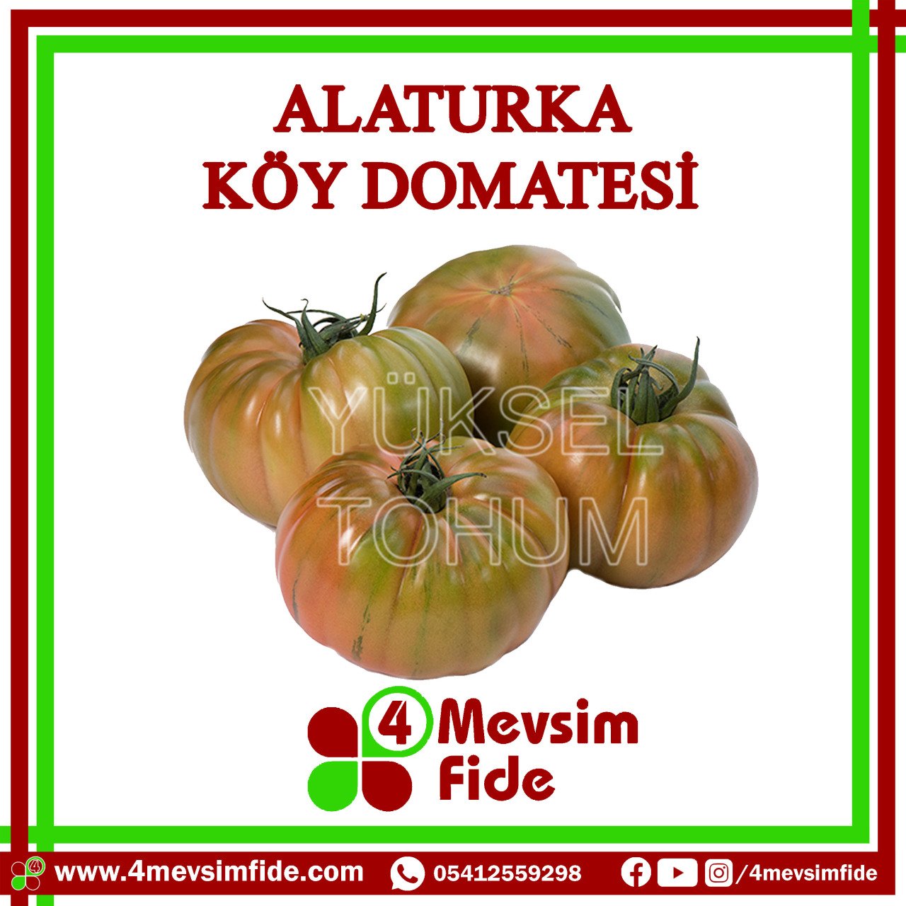 Alaturka Sırık Köy Domatesi Tohumu 1000 Adet