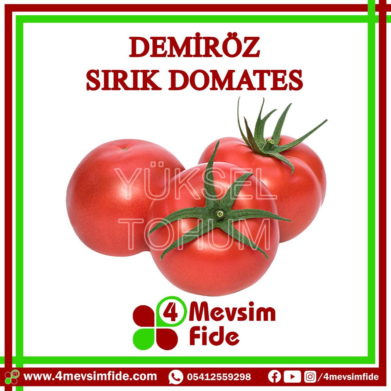 Demiröz Sırık Domates Tohumu 1000 Adet