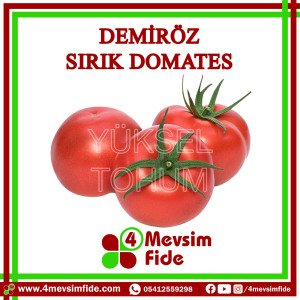 Demiröz Sırık Domates Tohumu 1000 Adet
