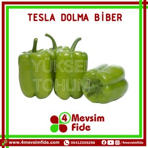 Tesla F1 Dolma Biber Fidesi