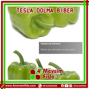 Tesla F1 Dolma Biber Fidesi