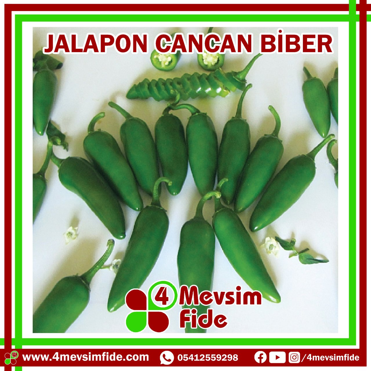 Cancan F1 Acı Jalapone Biber Fidesi