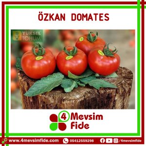 Özkan F1 Sırık Domates Fidesi