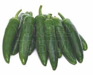 Yetkin F1 Jalapone Biber Fidesi