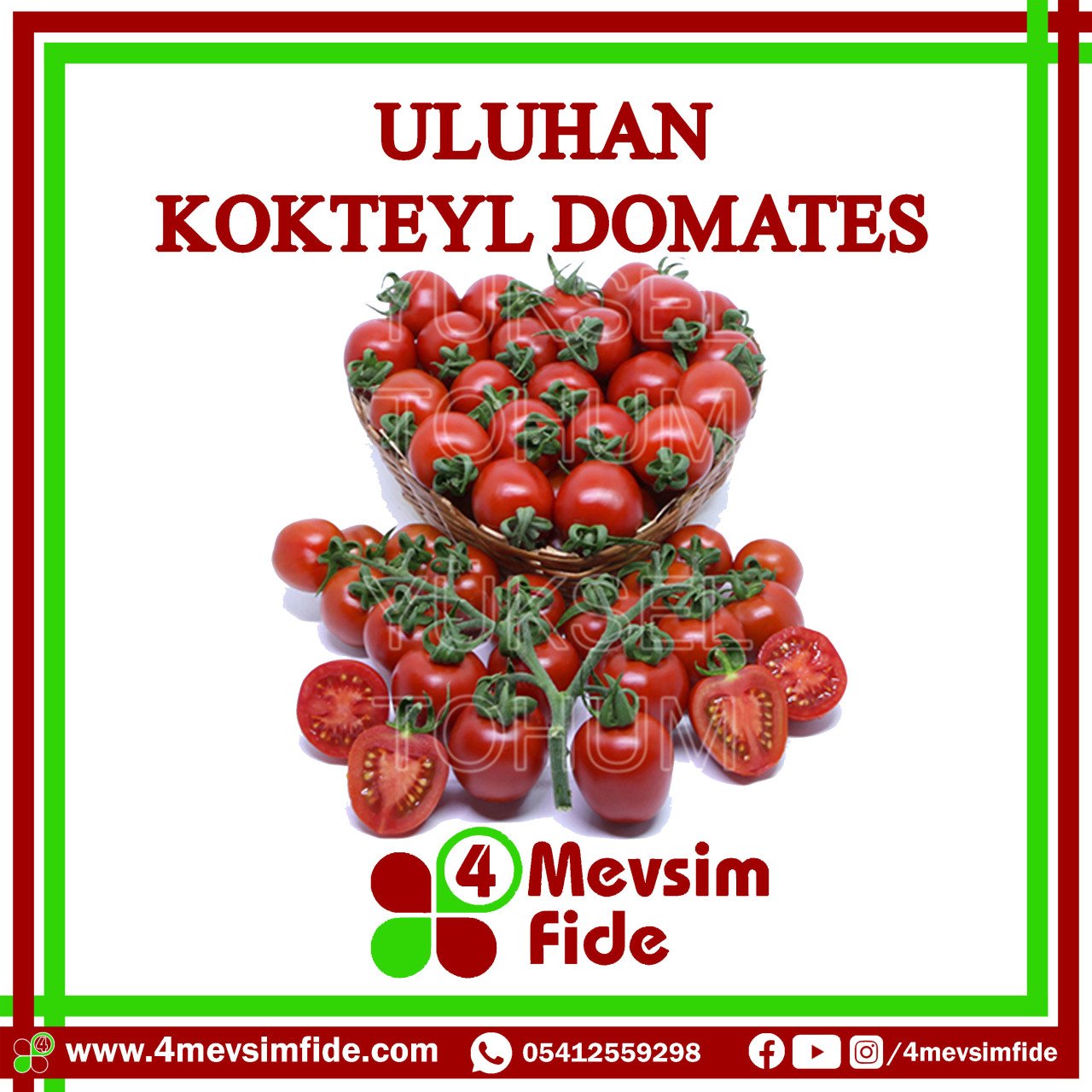 Uluhan  F1 Kokteyl Domates Fidesi