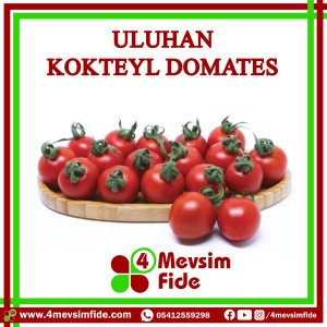 Uluhan  F1 Kokteyl Domates Fidesi