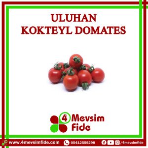 Uluhan  F1 Kokteyl Domates Fidesi