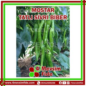 Hobi Biber Mostar F1 Tatlı Sivri Fidesi