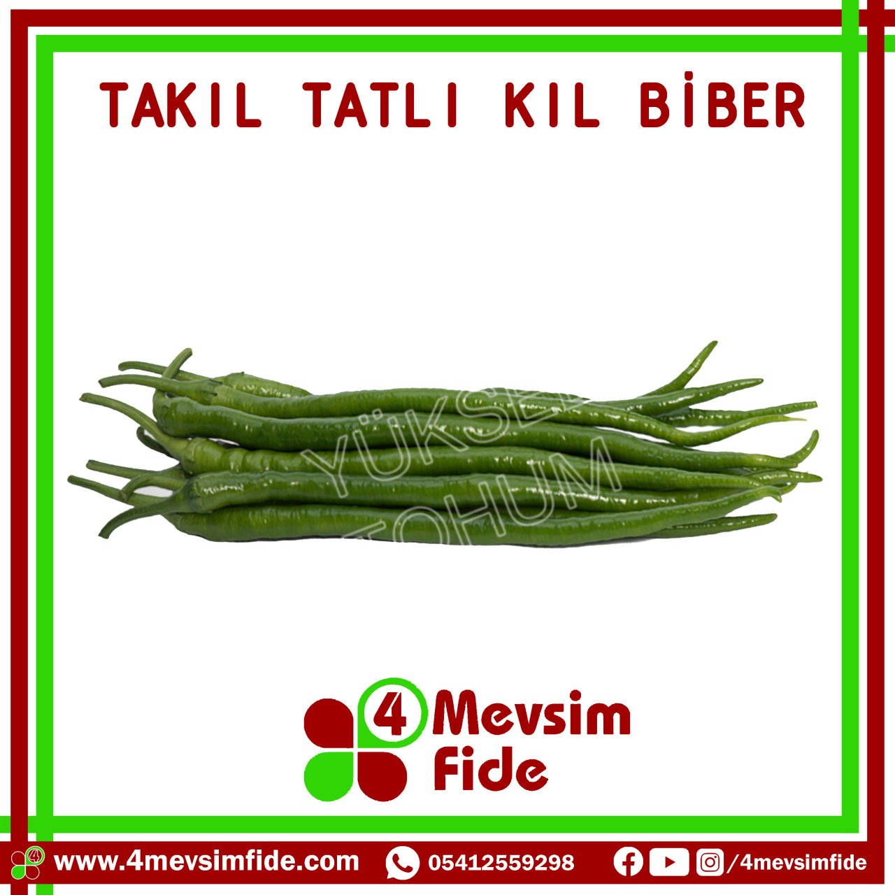 Takıl F1 Tatlı Kıl Biber Fidesi