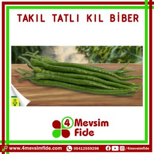 Takıl F1 Tatlı Kıl Biber Fidesi